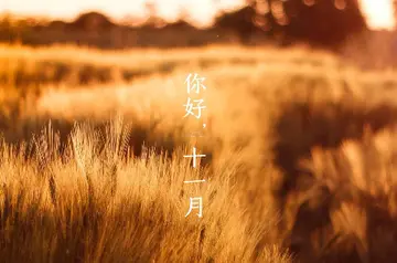 形容十一月份的优美句子文案