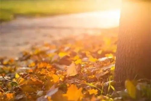 表达累的说说文案心情短语