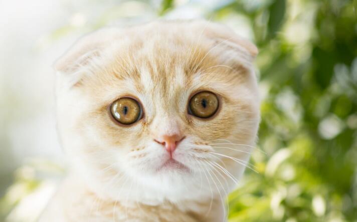 结束周末愉快的句子文案