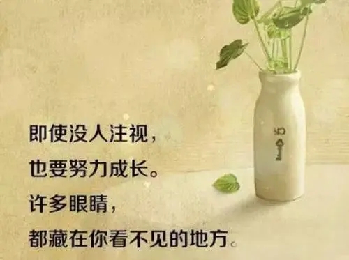 每日心灵鸡汤简短语录文案
