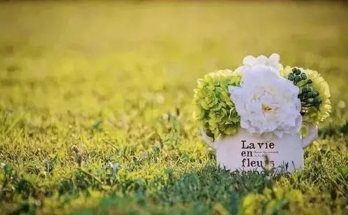 形容感情越久越浓的句子文案