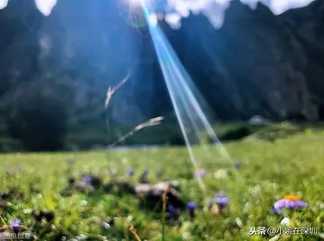 品质生活的唯美句子文案