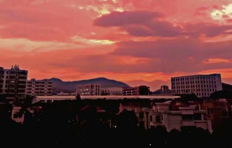 惊艳了时光优美句子文案