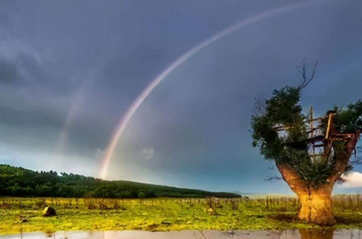 表达岁月的感悟的句子文案