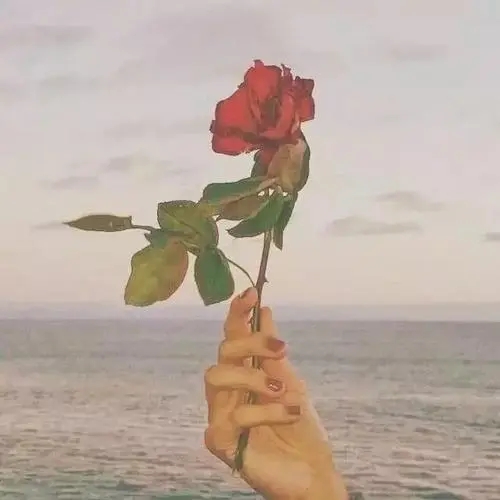 扎心现实句子文案