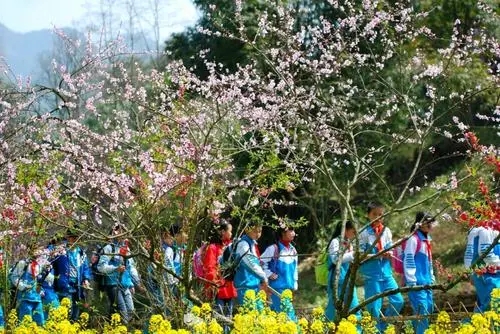 三月踏青赏花的诗句文案