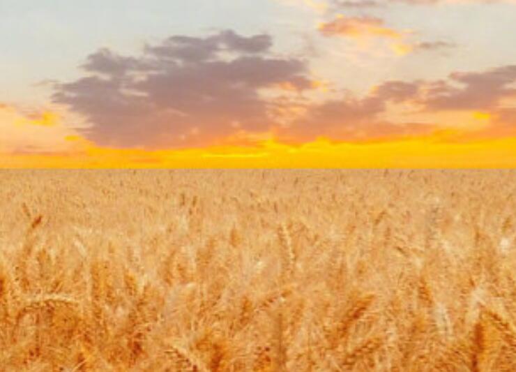 不开心的说说文案发朋友圈