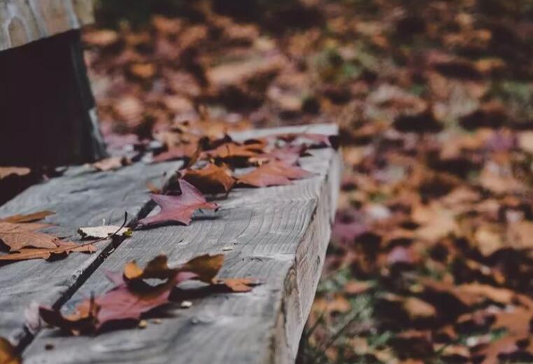 人性论经典句子文案