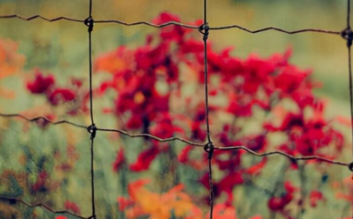 鼓励别人自信的心灵鸡汤