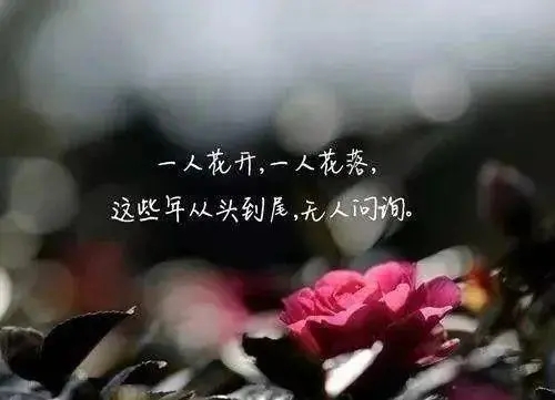 女人感悟生活的苦与累说说文案