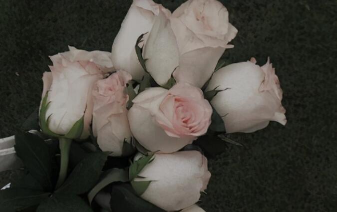 微信朋友圈内涵句子文案