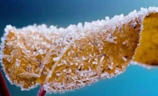 描写霜降的句子文案