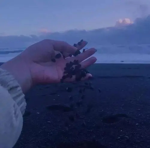 男人成熟稳重的经典句子文案