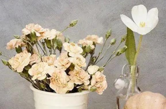 节日温馨祝福语