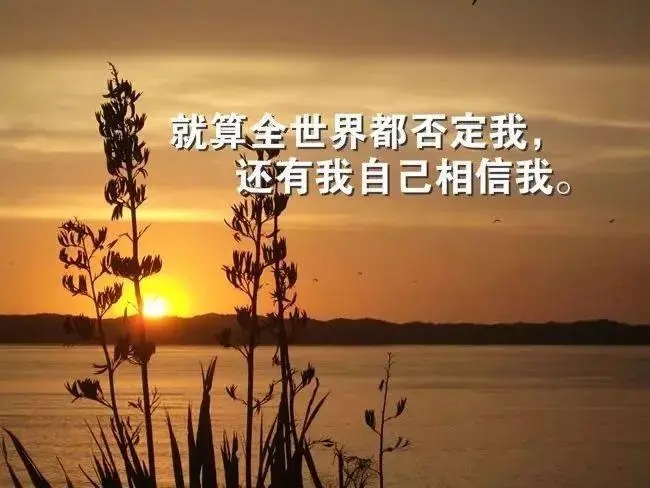 乐观励志心灵鸡汤文章