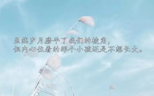 一年比一年成熟的句子文案