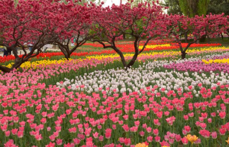 关于生态环保的诗句文案