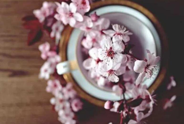 等你回来的唯美句子文案