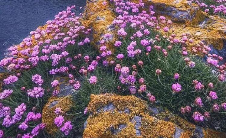 安慰朋友的句子文案