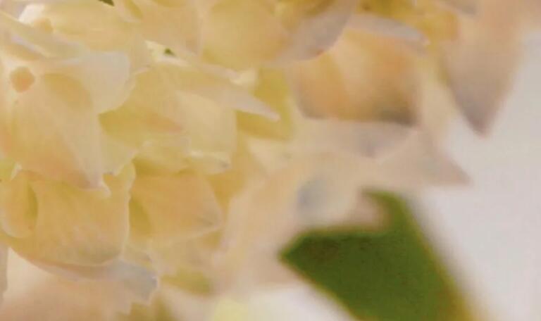 不期待的伤感说说文案