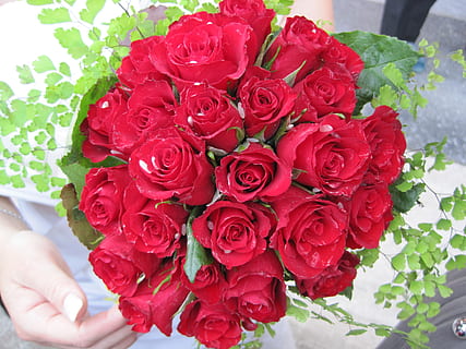 倒着念很污的句子文案