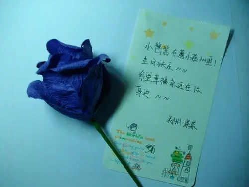 生日没人祝福的句子文案