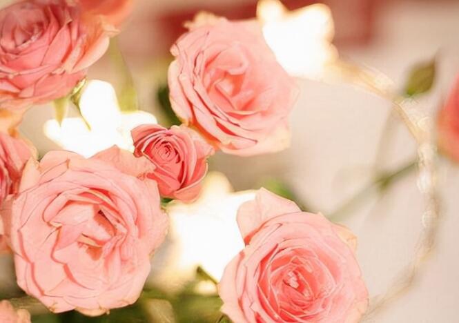 早上祝福语大全暖心2024