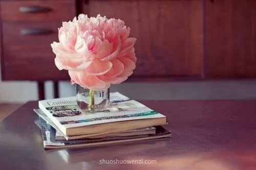 朋友圈接单的话