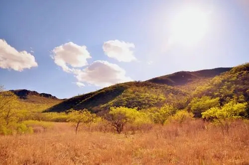 家乡的美景一段话