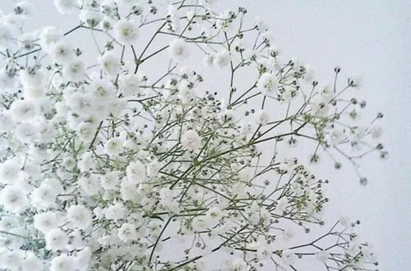 冷门又惊艳的句子文案