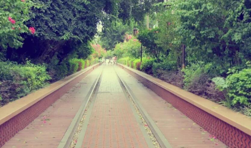 行走在路上的说说文案