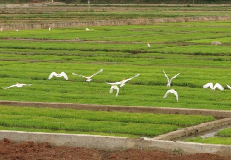南京旅行简短文艺句子文案