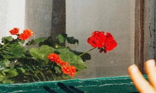 早安问候语简短一句话