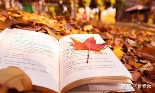 一瞬间爆发的句子文案