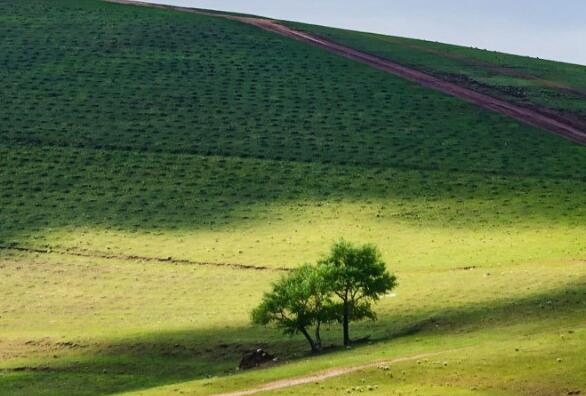 关于怀疑与学问的名言和事例
