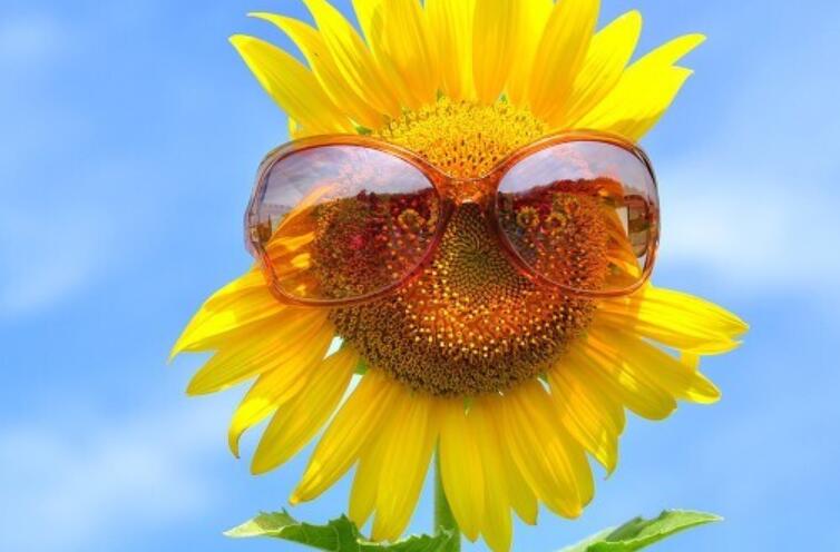 知心朋友问候语