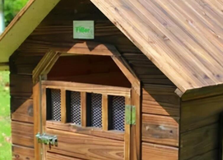 关于家的温暖唯美句子文案