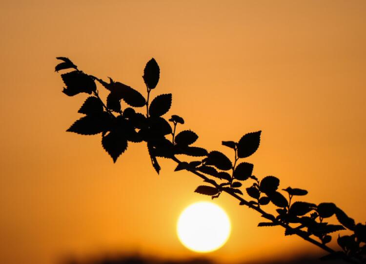 戒东西说说文案