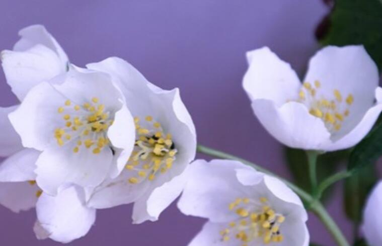 写给女人励志的话