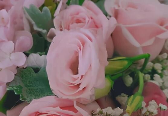 宽容开头结尾摘抄大全