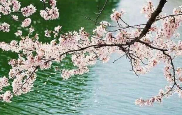 唯美名言名句文案经典摘抄