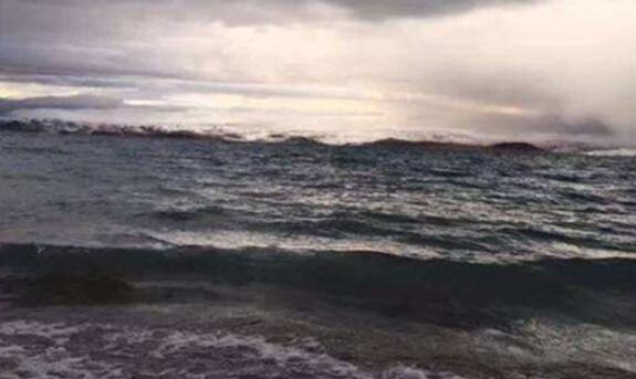 最能打动人心的早安问候