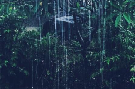 中午微信问候语