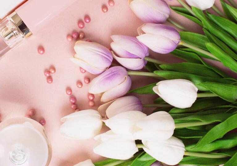 妇女节的句子文案