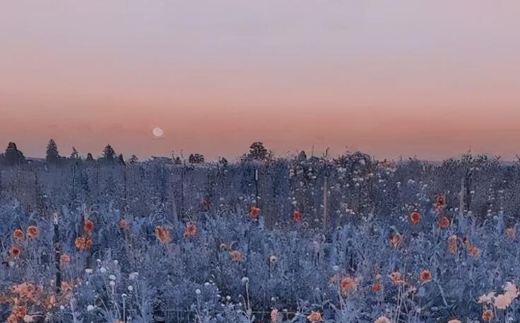 表示很想念对方的情话文案