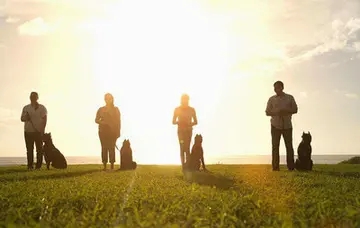 一辈子朋友的经典句子文案短句