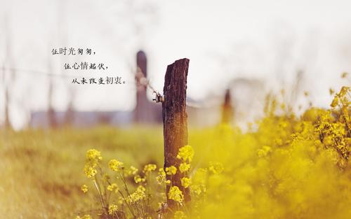 关于岁月的经典语录文案