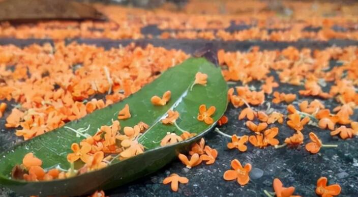 冬雨的句子文案