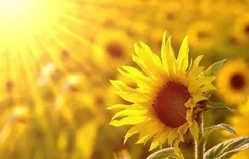 改变自己重新开始句子文案