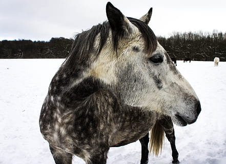 男装上新款发朋友圈宣传
